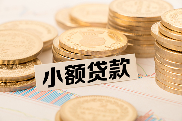东莞大朗镇小额贷款当天放款-东莞大朗镇哪里可以信用贷款-东莞大朗镇民间借贷